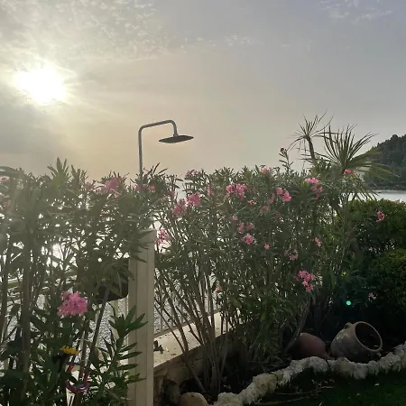 Sweet Dreams At The Seaside *